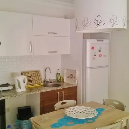 2+1 Luxury House For Rent * Esmirna